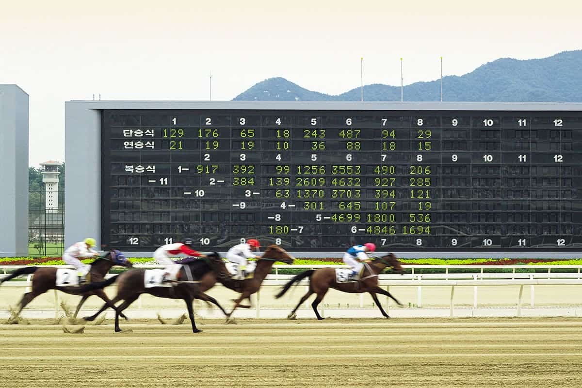 렛츠런파크 경마 렛츠런파크 경마