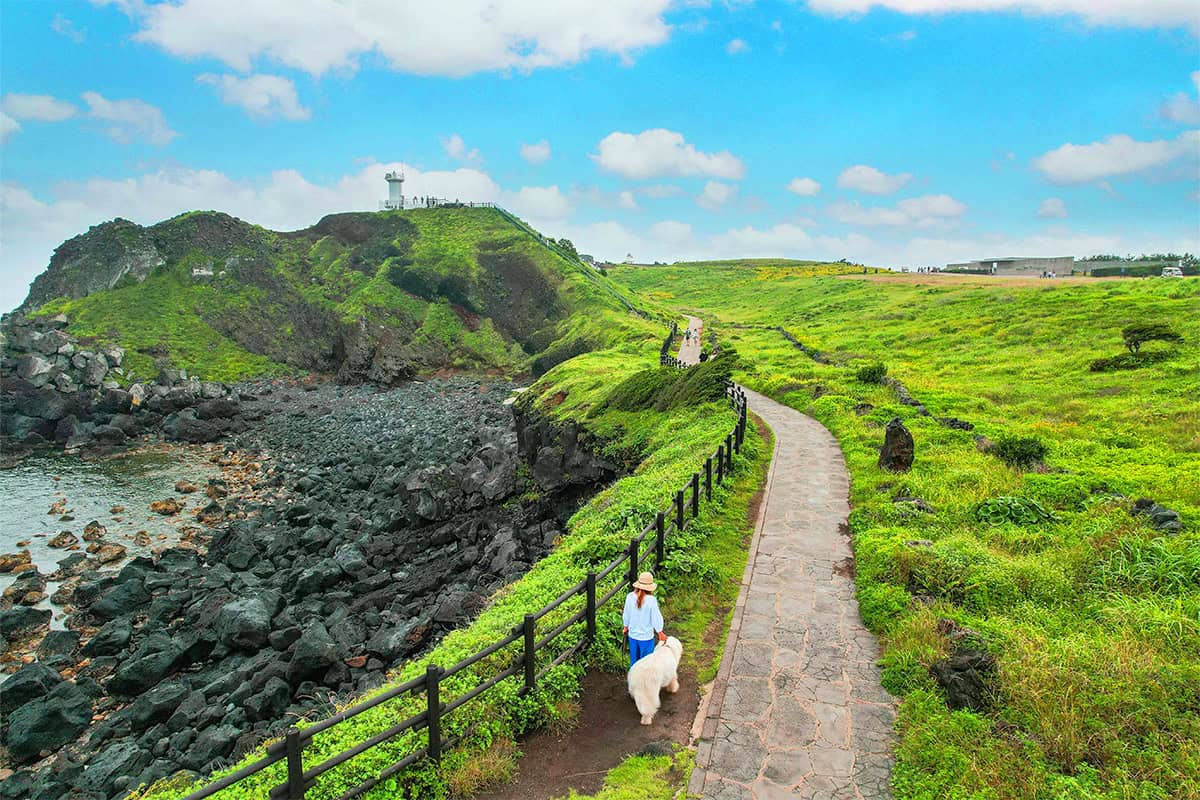 제주도 강아지 여행 제주도 강아지 여행