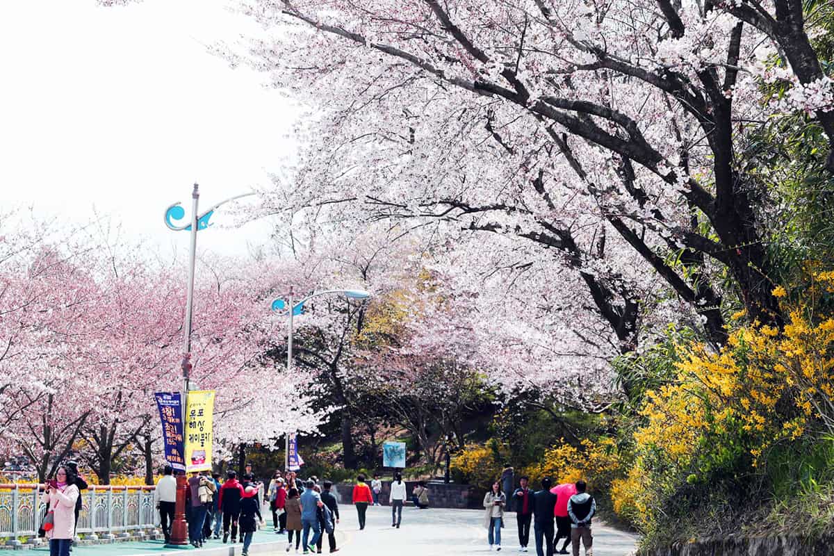 목포 유달산