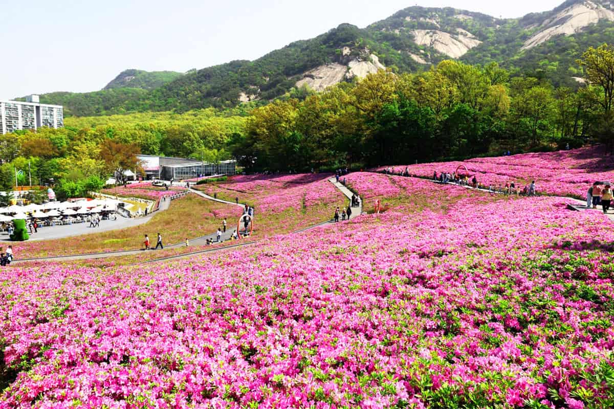 노원구 불암산 전경 노원구 불암산 전경