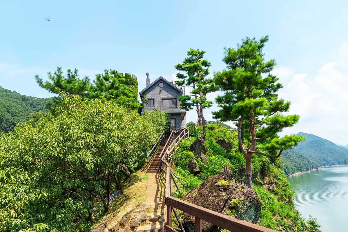 옥천 수생식물학습원 옥천 수생식물학습원