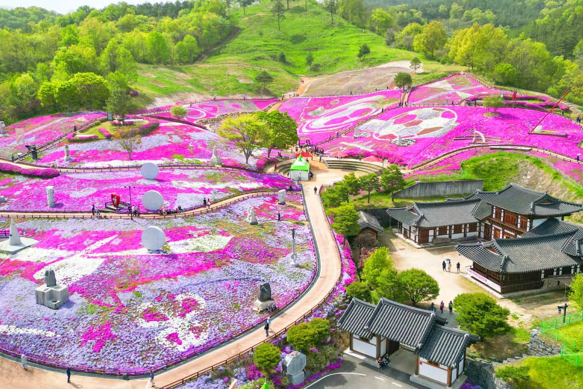 산청 생초국제조각공원 꽃잔디 축제