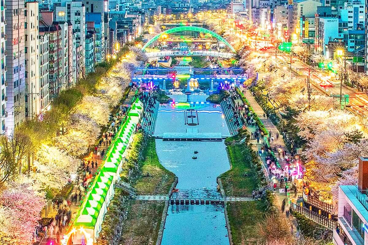 서울 불광천 야경 서울 불광천 야경