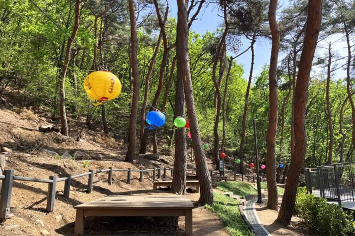 호압사 사찰림 산림여가공간 풍경 호압사 사찰림 산림여가공간 풍경