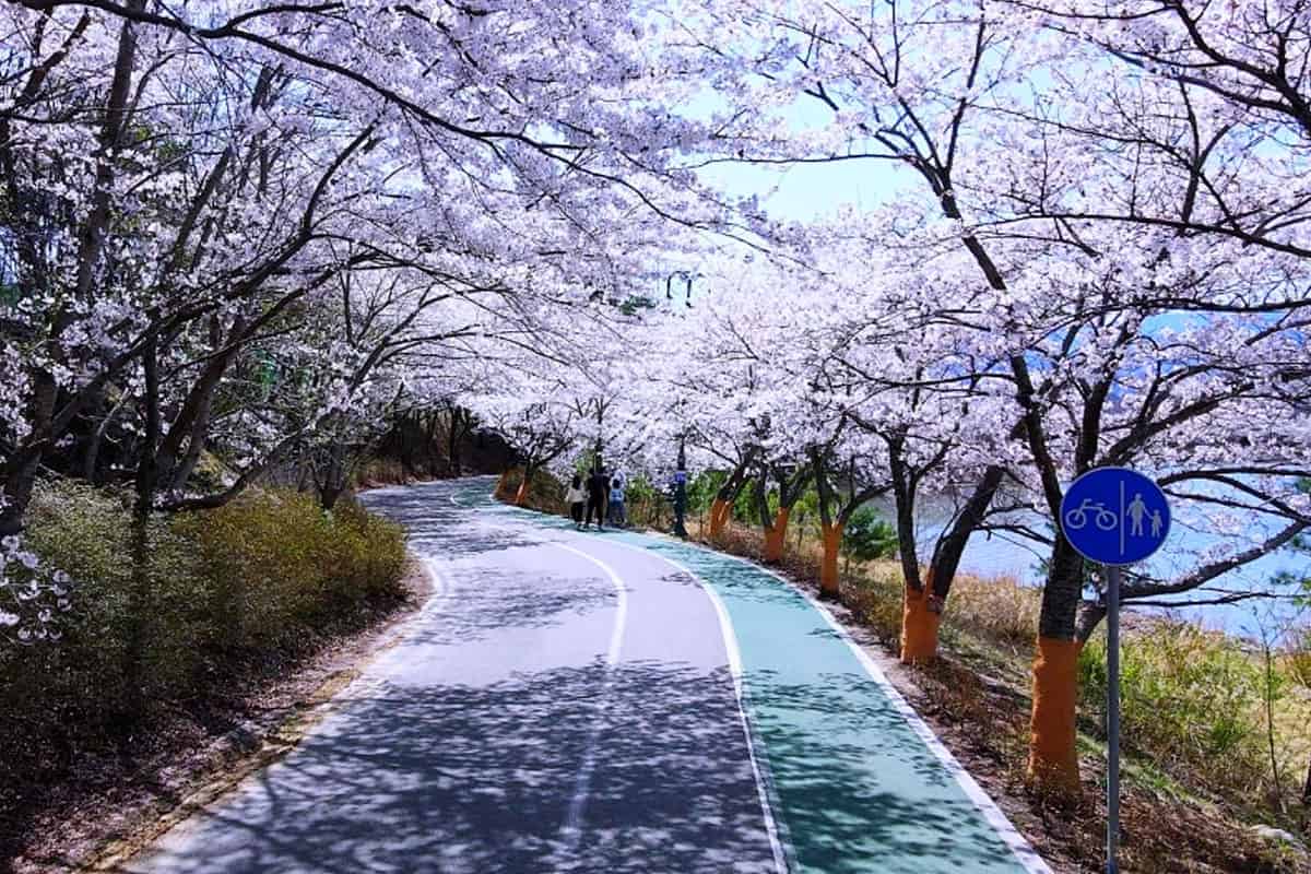 속초 영랑호 속초 영랑호