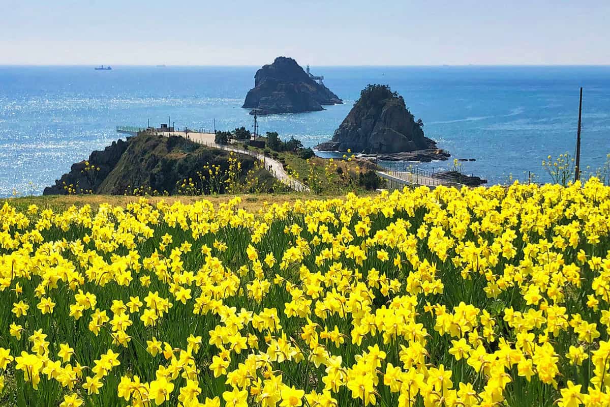 부산 오륙도해맞이공원 부산 오륙도해맞이공원