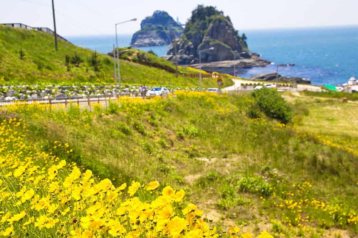 부산 오륙도해맞이공원 전경 부산 오륙도해맞이공원 전경