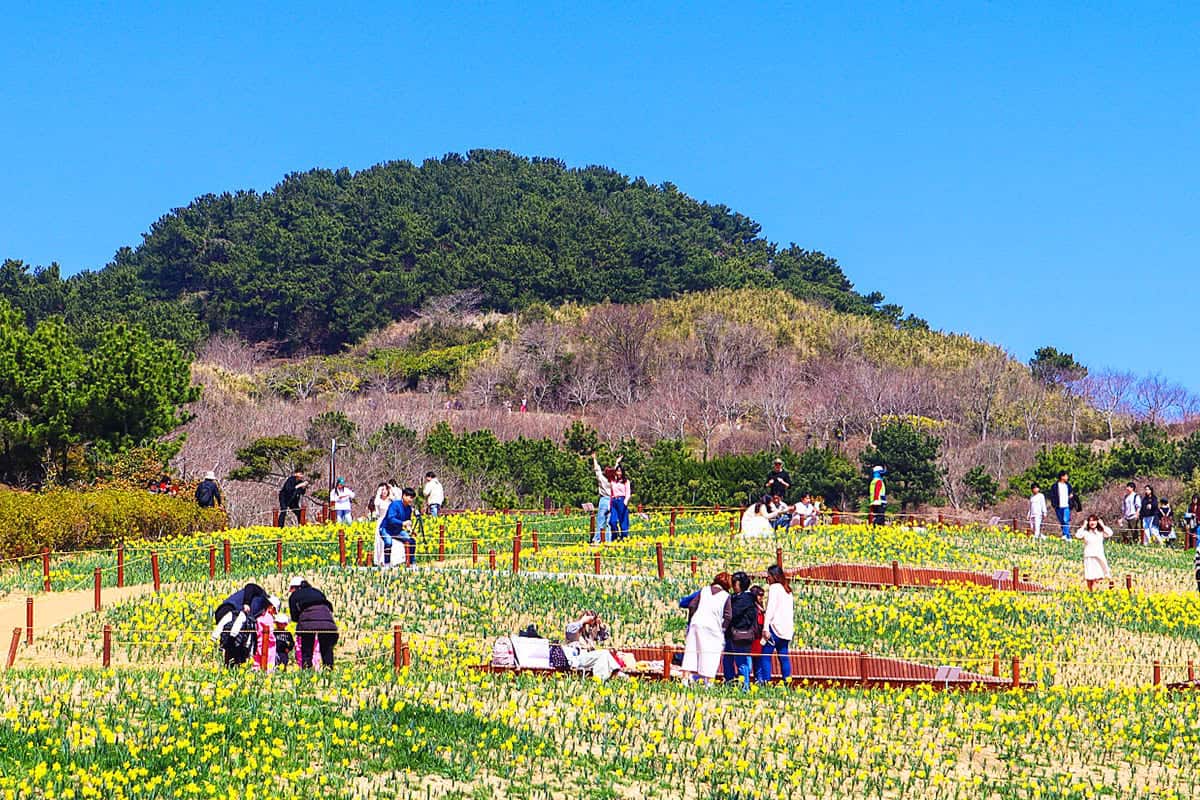 부산 오륙도해맞이공원 봄 부산 오륙도해맞이공원 봄
