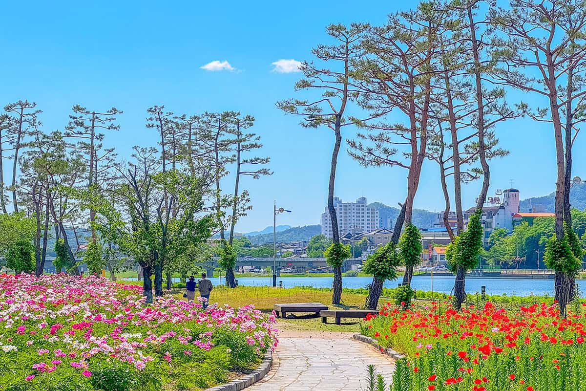 영천 생태지구공원 작약
