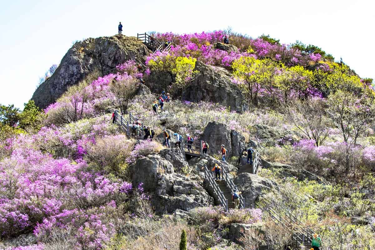 여수 영취산 여수 영취산