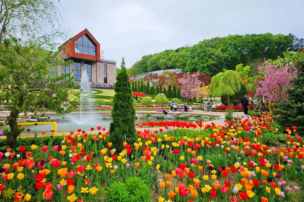 용인 자작나무숲 분수 용인 자작나무숲 분수