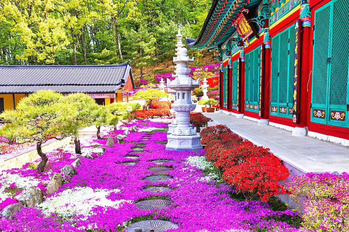 공주 금강사 공주 금강사