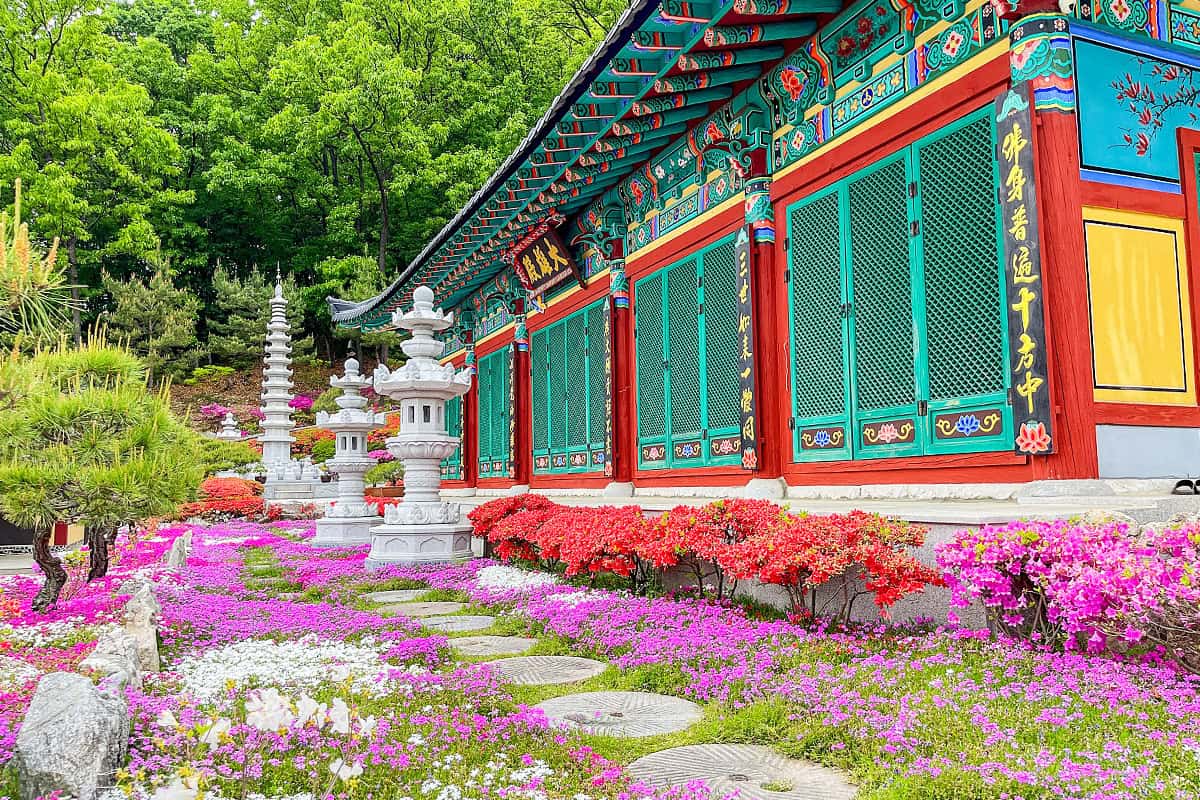 한적한 공주 금강사 꽃잔디 한적한 공주 금강사 꽃잔디