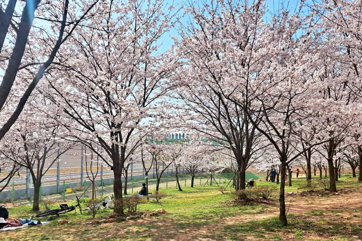 고양둥이동산 고양둥이동산
