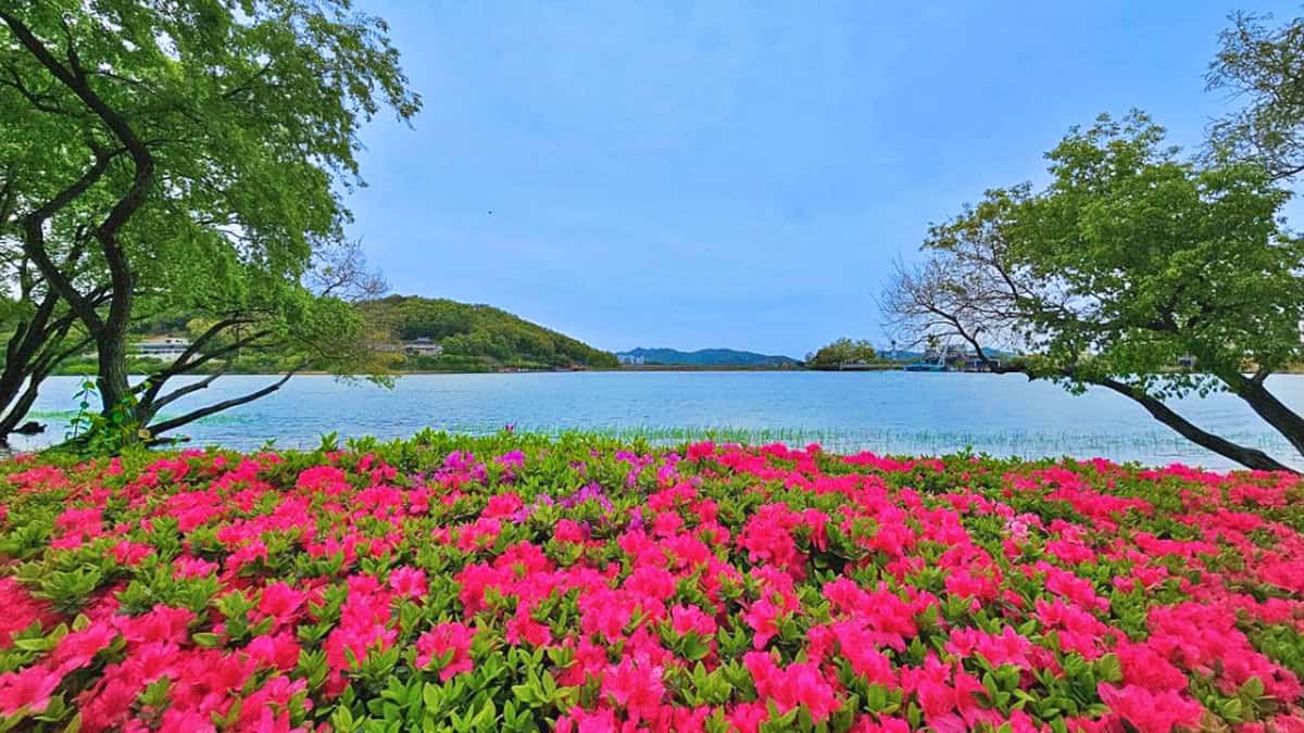 아산 호수