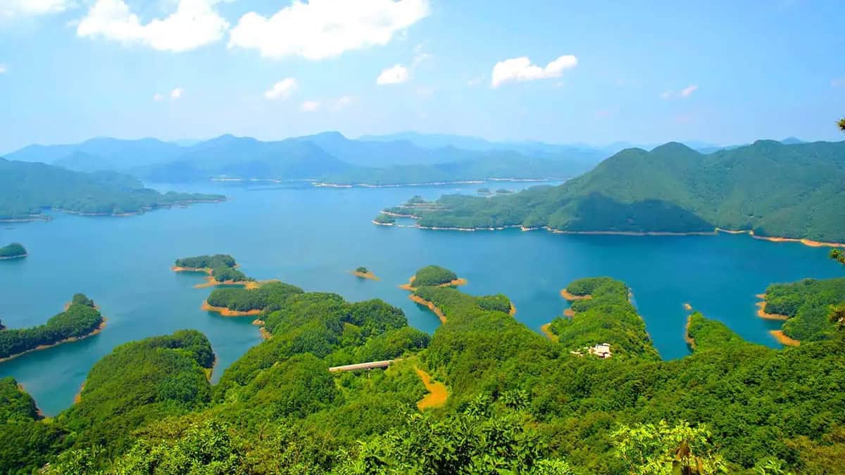 충주 악어섬 충주 악어섬