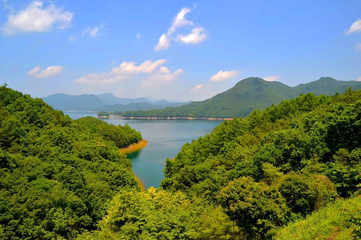충주호 악어봉 충주호 악어봉