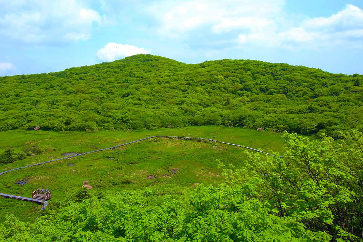 대암산용늪 전경 대암산용늪 전경