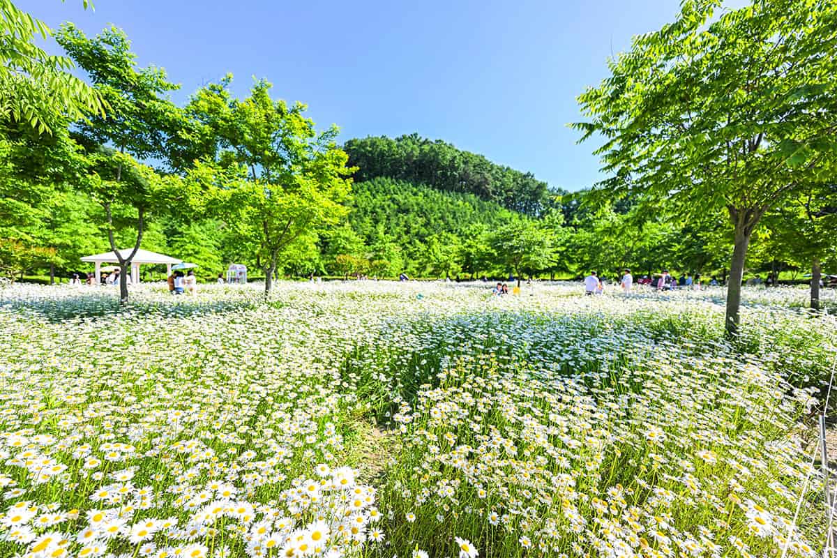 함안 악양생태공원 함안 악양생태공원