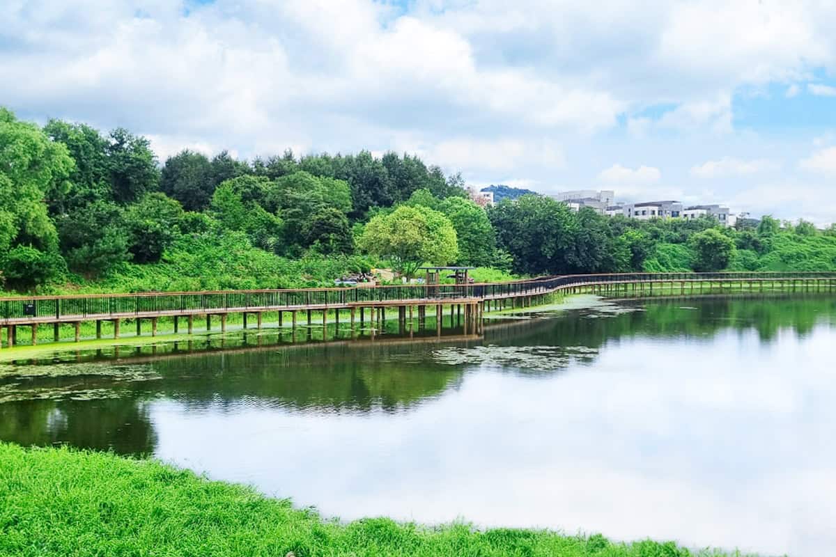 기지제 수변공원 데크길 기지제 수변공원 데크길