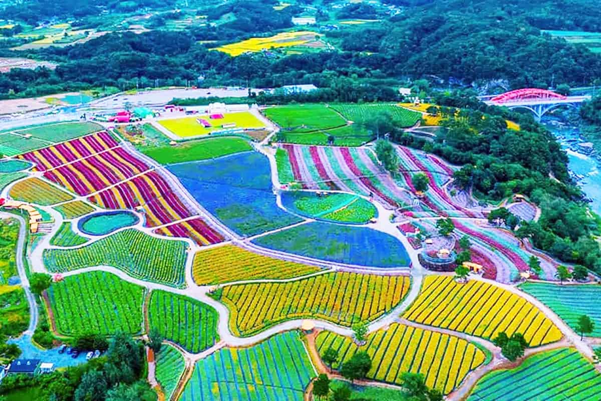 고석정 꽃밭 고석정 꽃밭