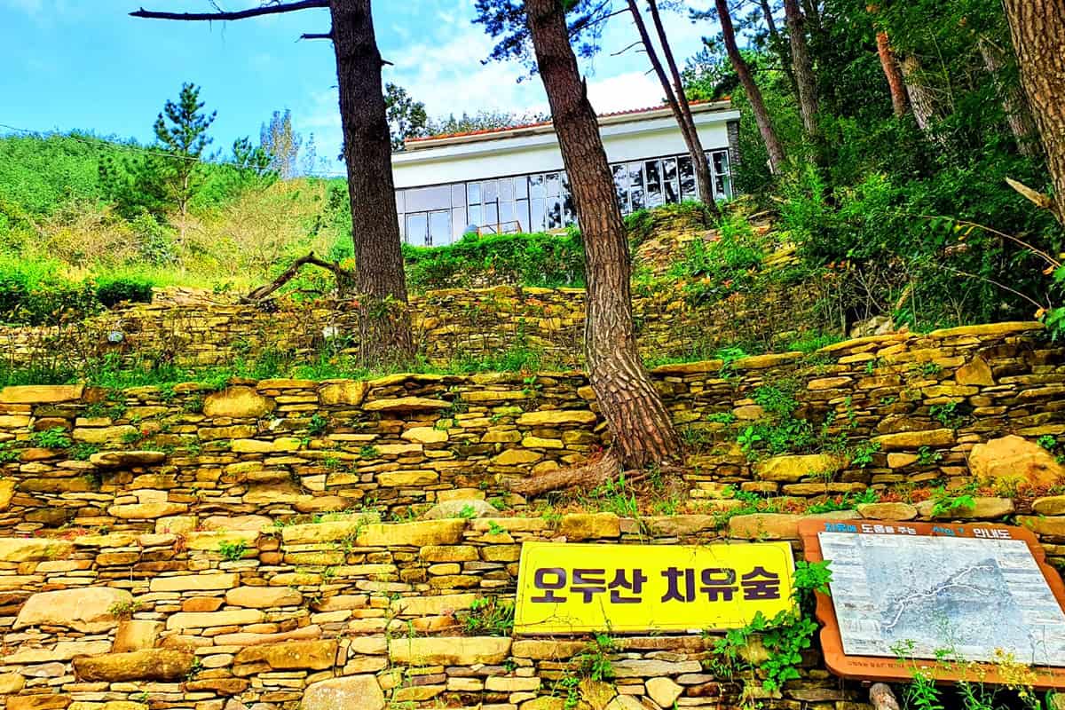 고성 오두산 숲멍축제 고성 오두산 숲멍축제