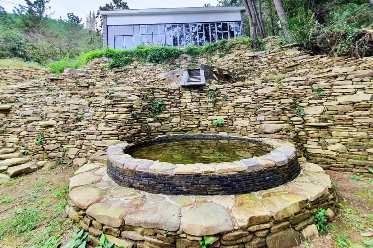 고성 오두산 치유숲 광장 고성 오두산 치유숲 광장