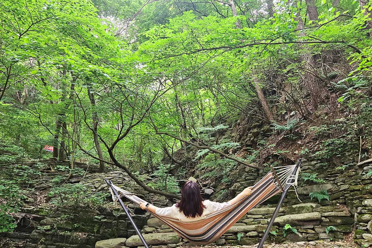 지난 고성 오두산 숲멍축제 지난 고성 오두산 숲멍축제