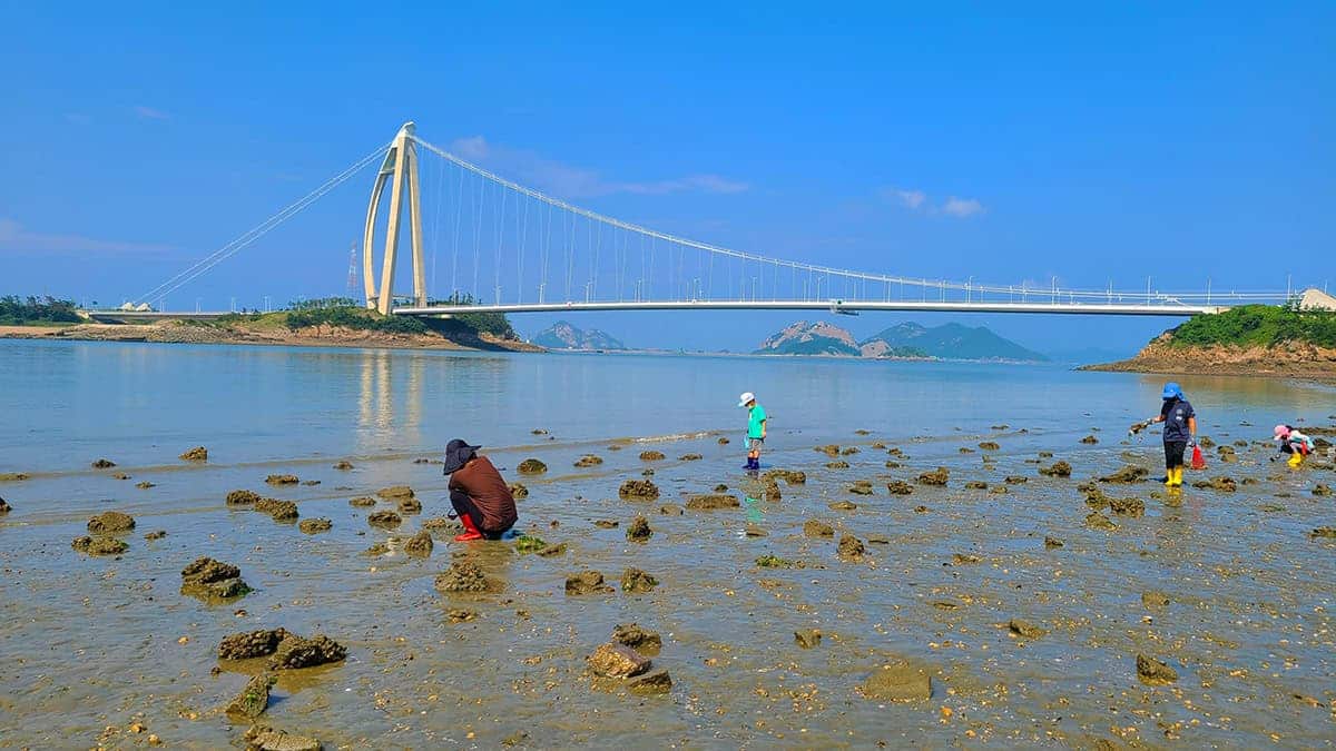 신시도 갯벌