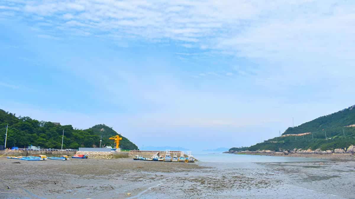 군산 신시도