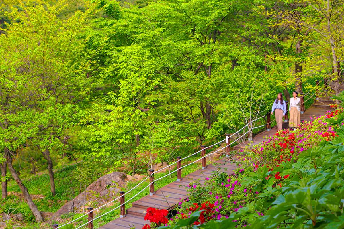 구례수목원 산책길 구례수목원 산책길