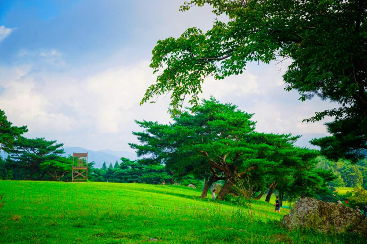 경주 화랑의 언덕