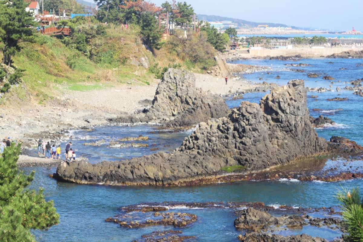 경주 주상절리 파도소리길 풍경