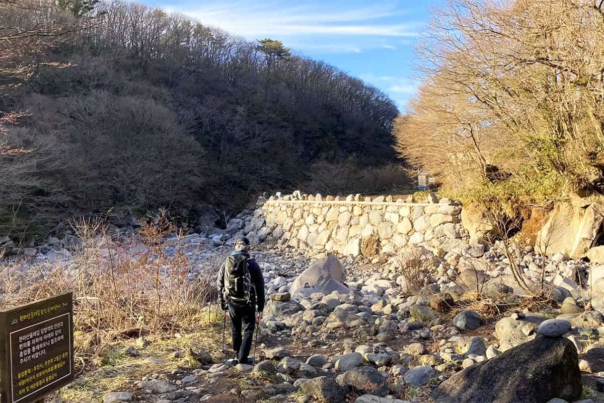 한라산둘레길 천아숲길 한라산둘레길 천아숲길