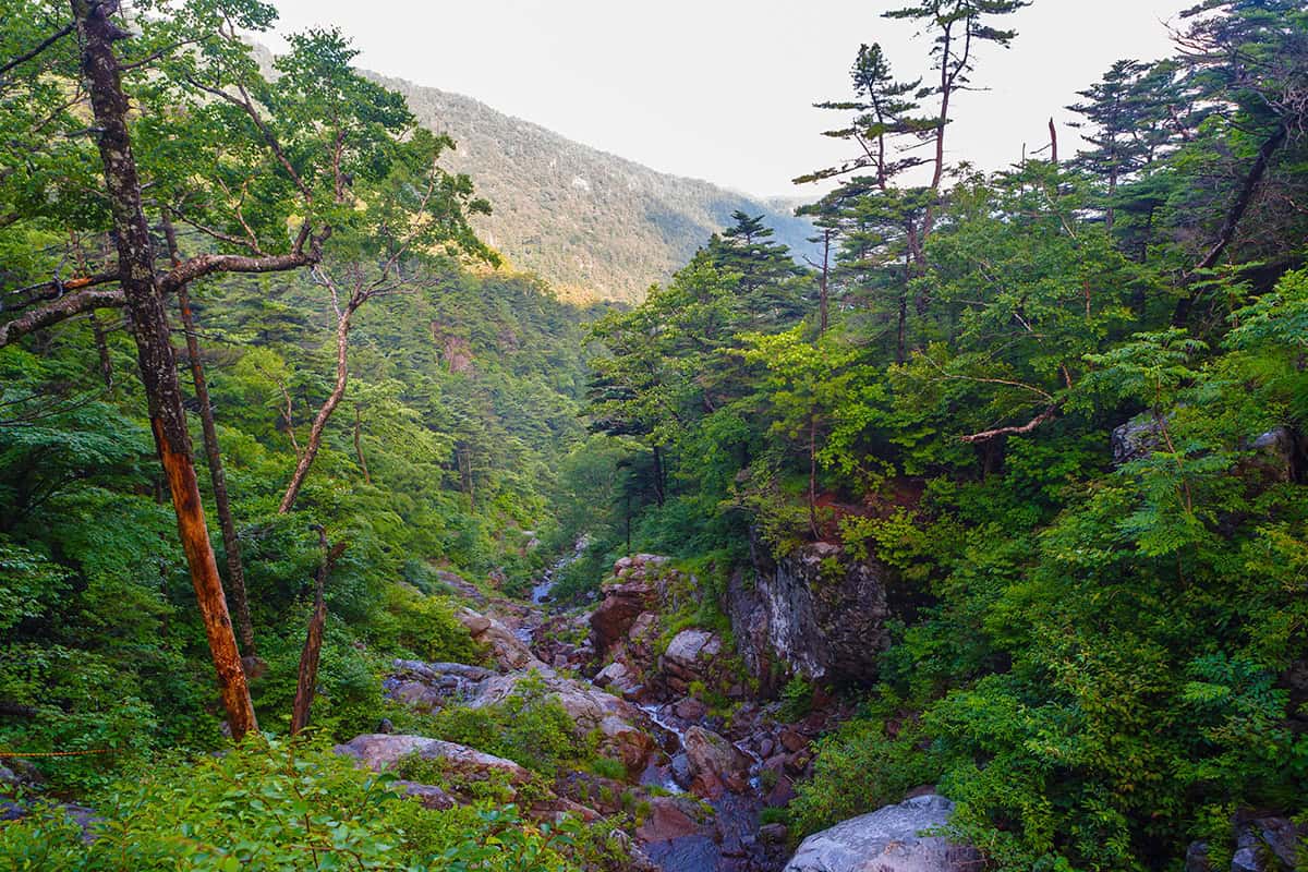 지리산 칠선계곡 지리산 칠선계곡