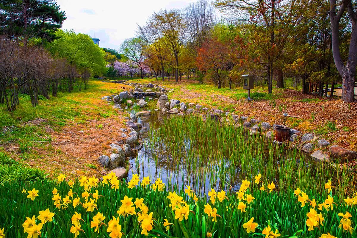 한밭수목원 한밭수목원