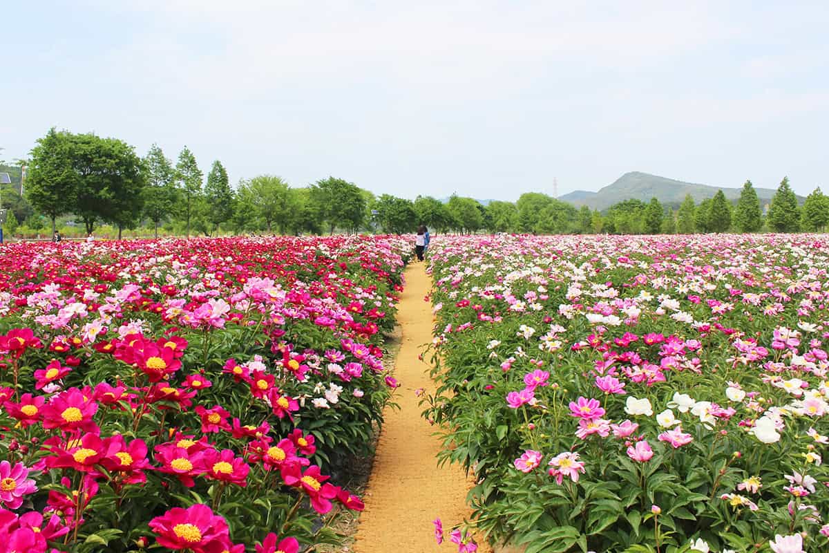 합천 핫들생태공원 포토존 합천 핫들생태공원 포토존