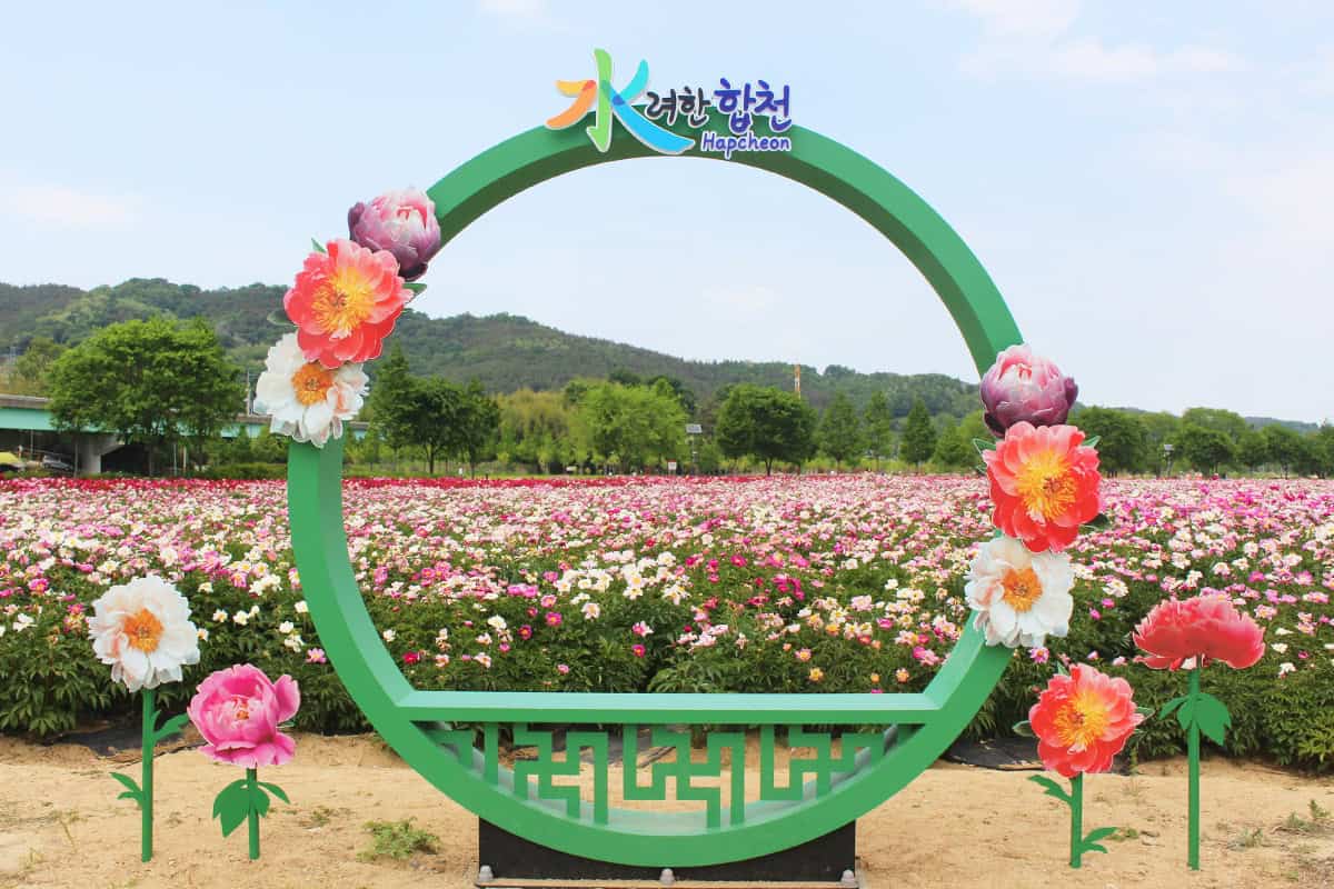 합천 핫들생태공원 포토스팟 합천 핫들생태공원 포토스팟