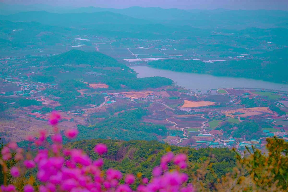 백월산 전경 백월산 전경