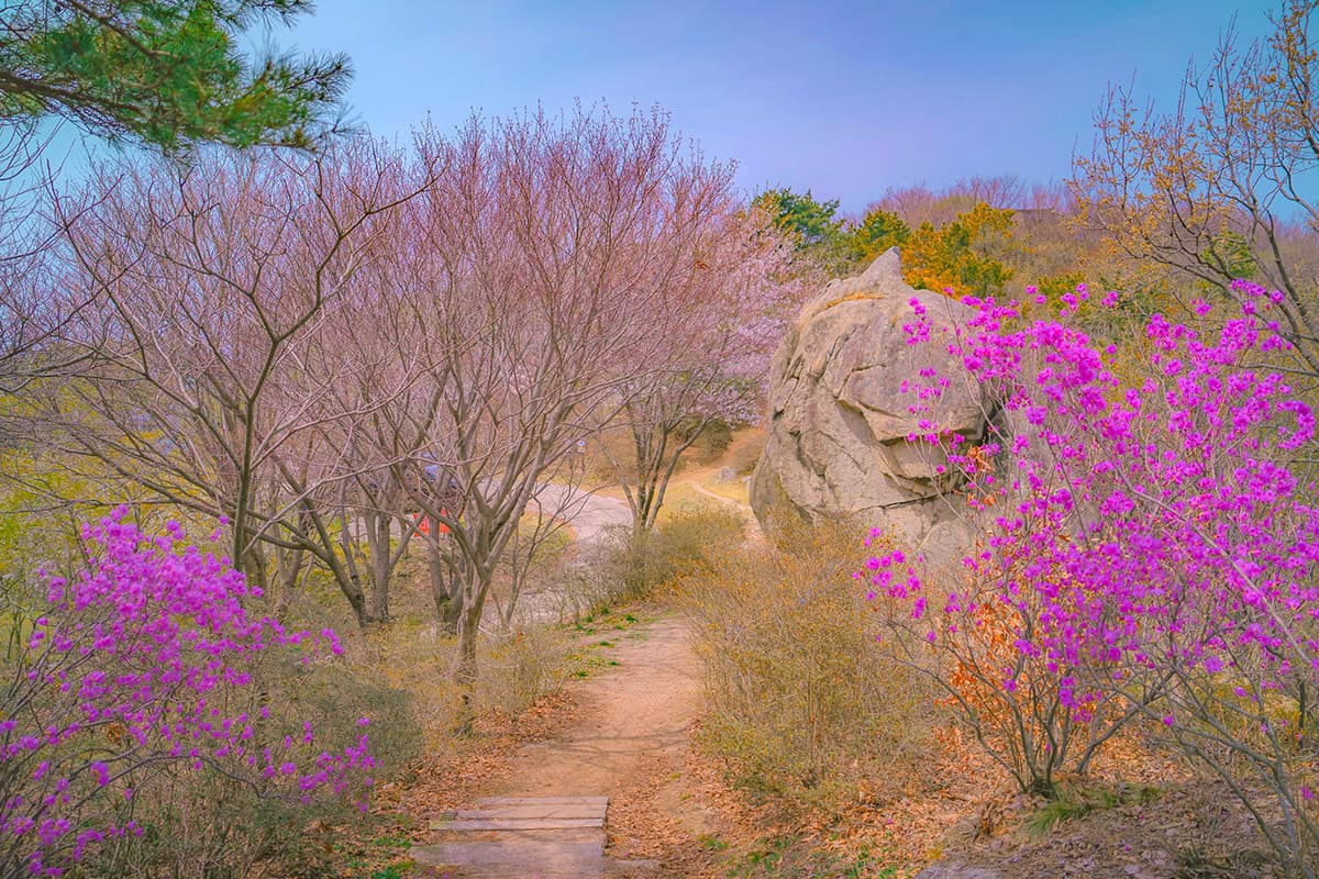 백월산 바위 백월산 바위