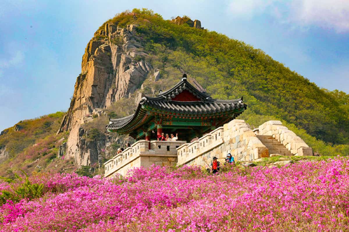 아름다운 황매산 철쭉군락지 아름다운 황매산 철쭉군락지