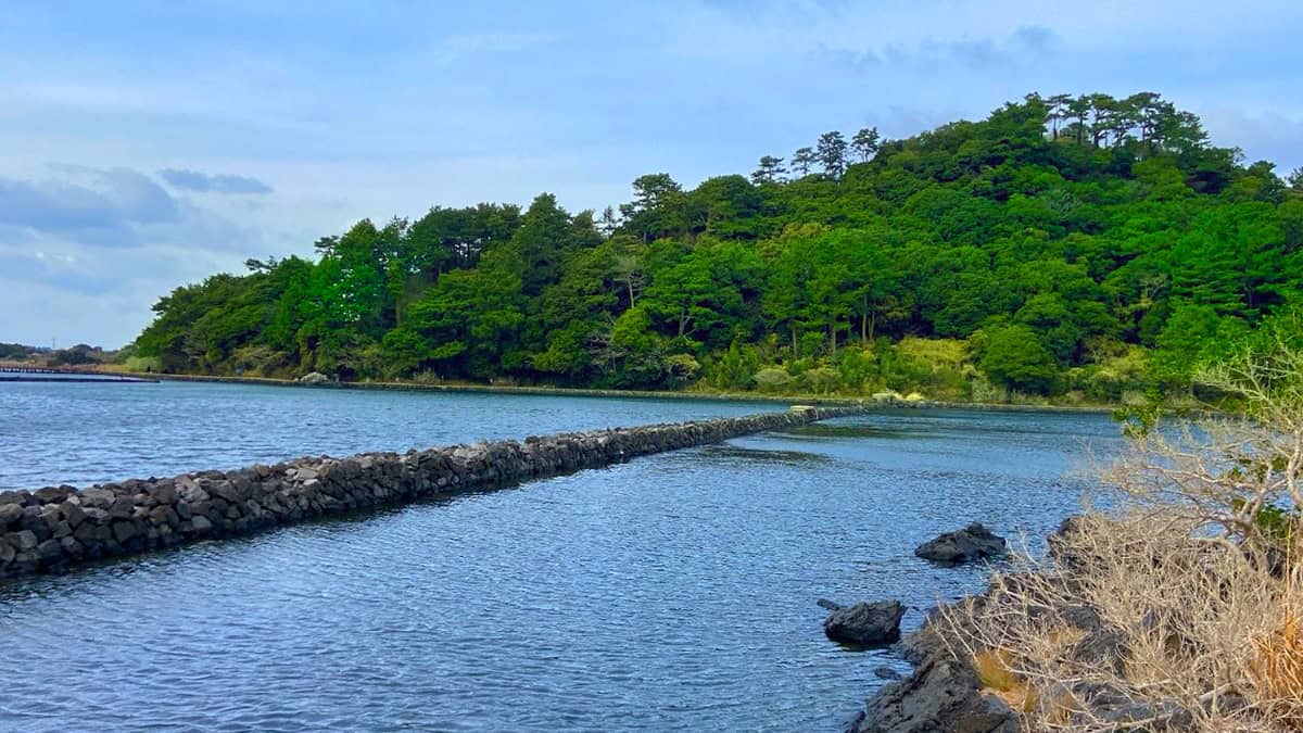 제주 오조포구 제주 오조포구