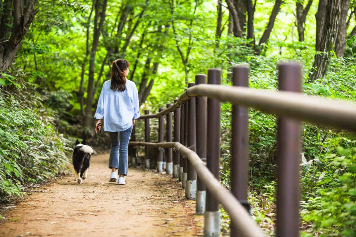 진안고원길 9코스 진안고원길 9코스