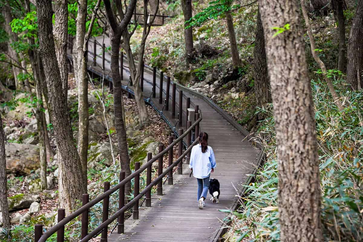 운일암반일암 숲길 운일암반일암 숲길