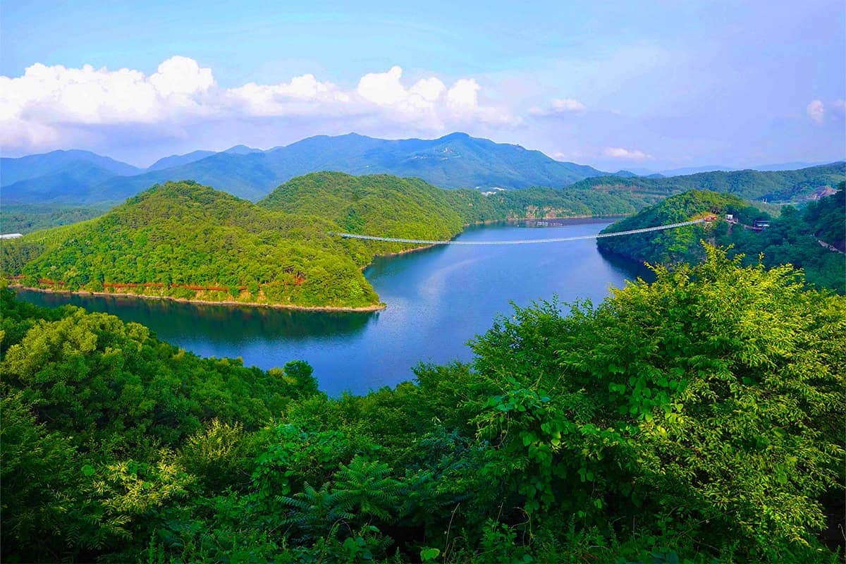 진천 출렁다리 전경 진천 출렁다리 전경