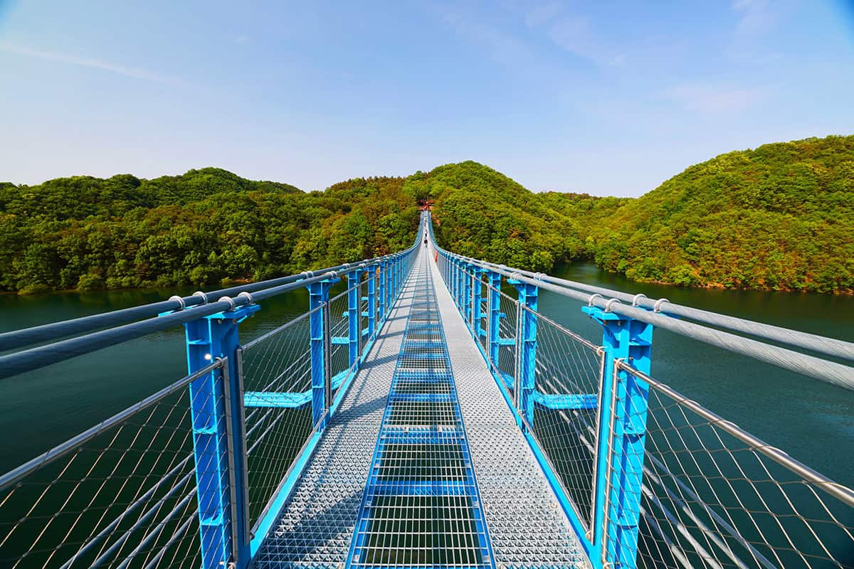 진천 출렁다리 진천 출렁다리