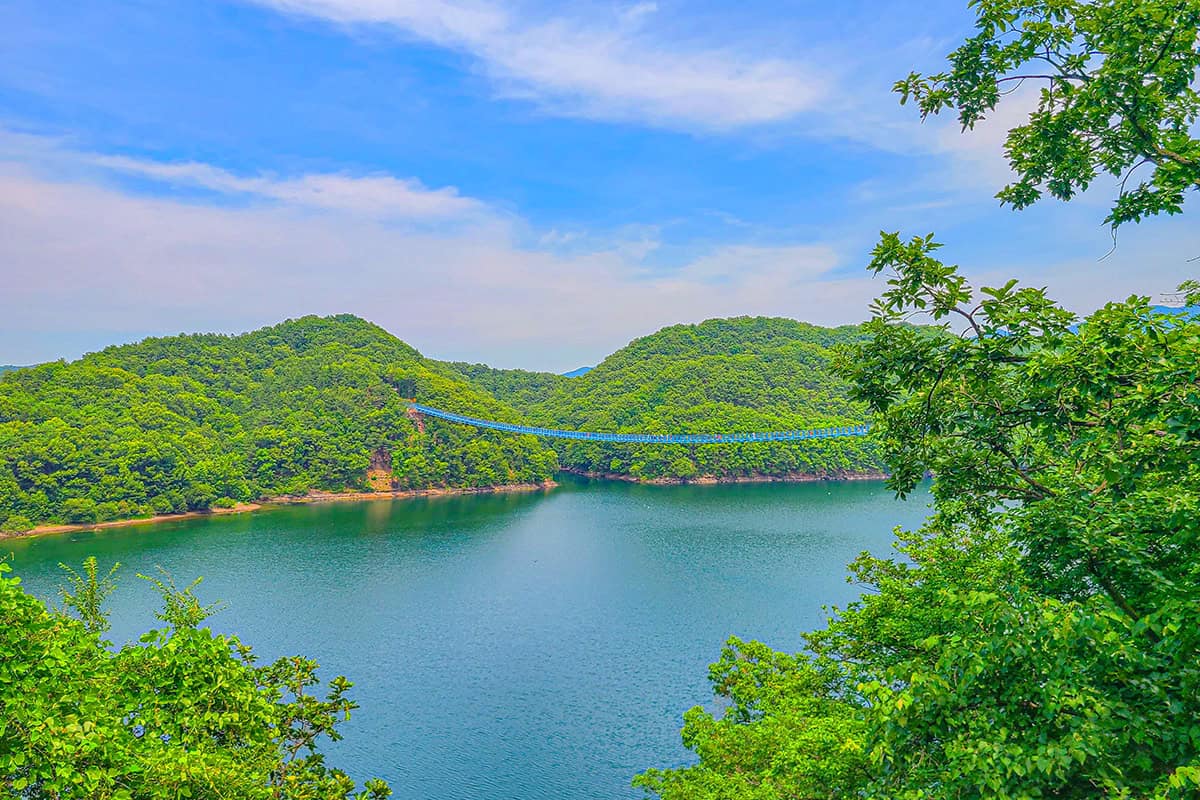 초평호 출렁다리 초평호 출렁다리