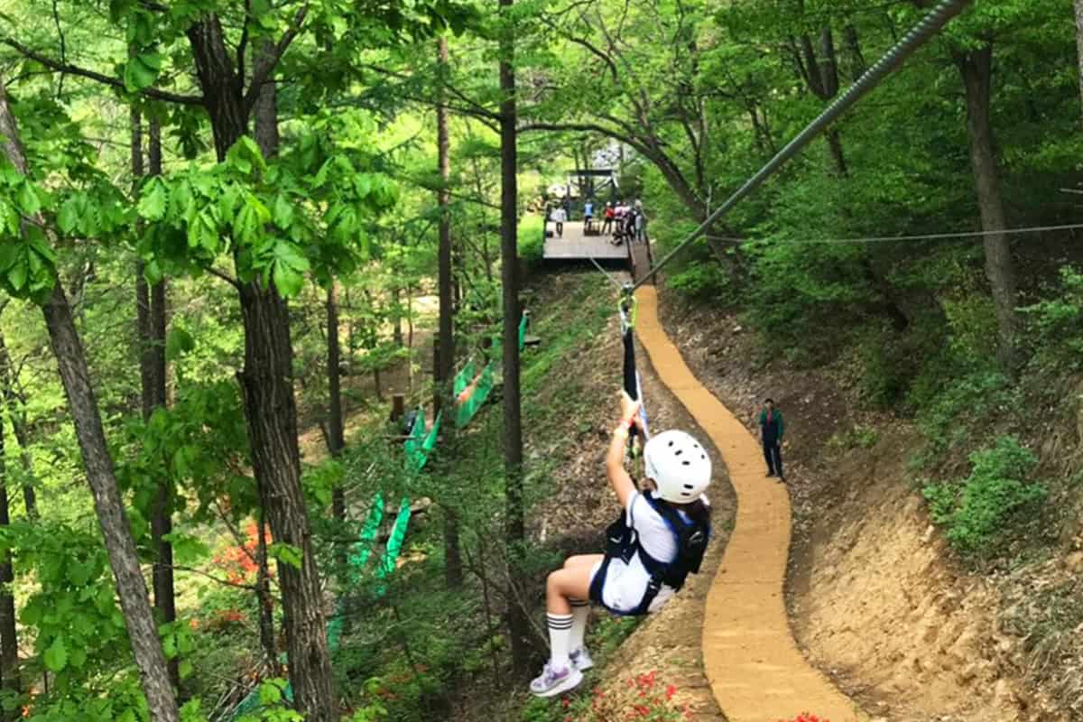 증평 좌구산휴양랜드 체험 증평 좌구산휴양랜드 체험