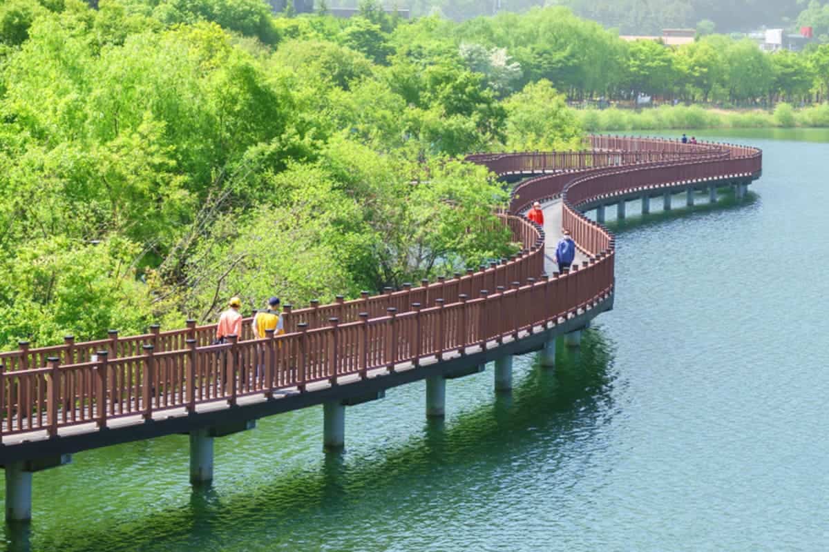 대구 월광수변공원 대구 월광수변공원