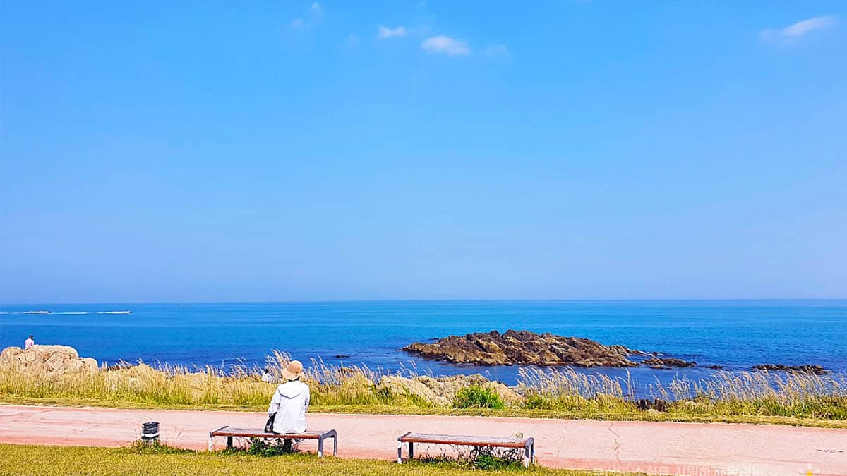 부산 기장 해안산책로 부산 기장 해안산책로